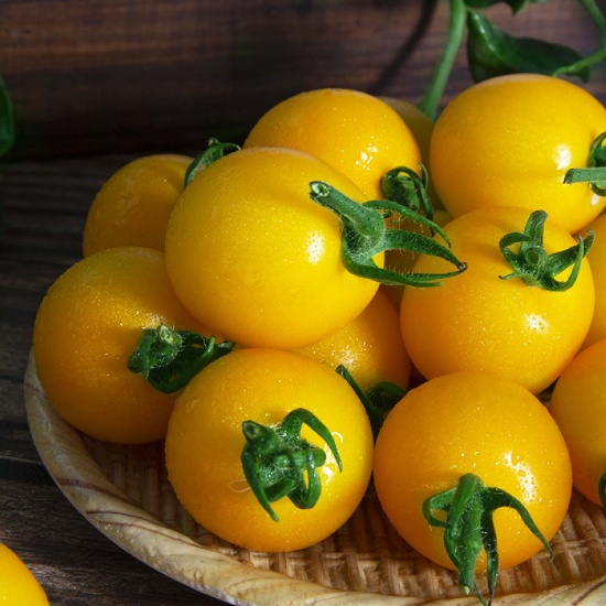 Cà chua cherry vàng sản phẩm hữu cơ an toàn
